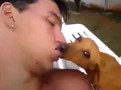 Bacio cane