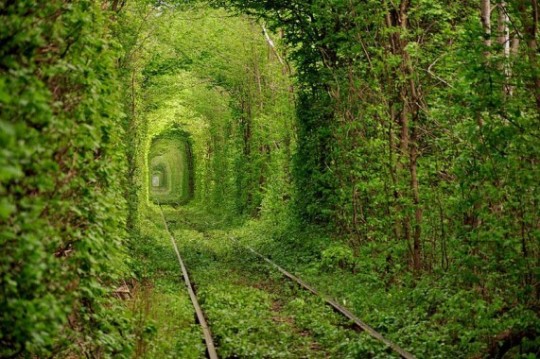 Tunnel dell’amore, Ucraina