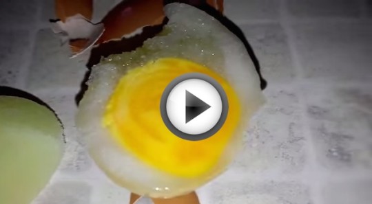 Congelare uovo fresco