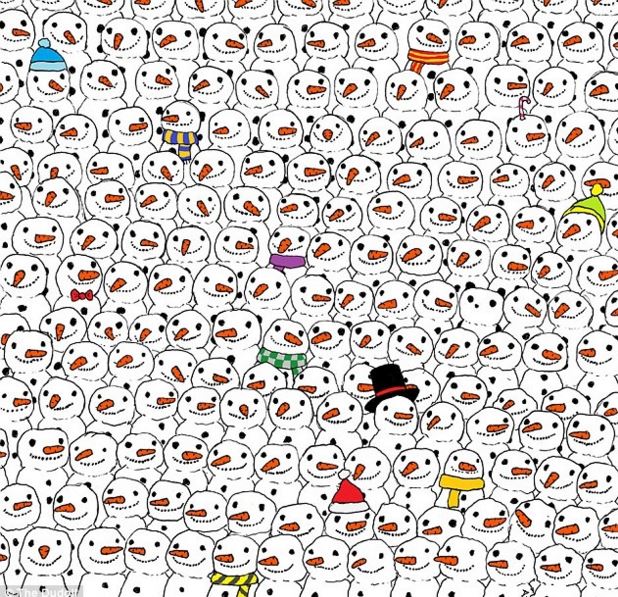 Trova il panda
