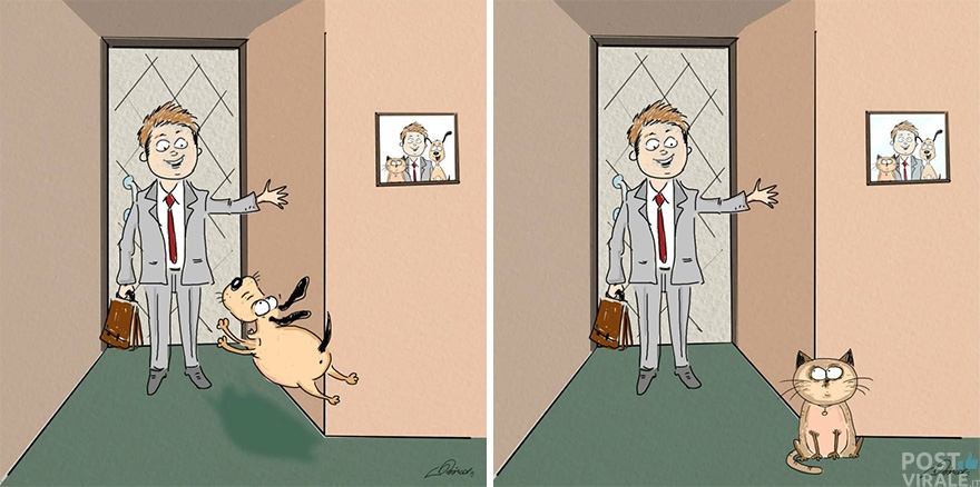 cats-vs-dogs-funny-illustrations-bird-born-2